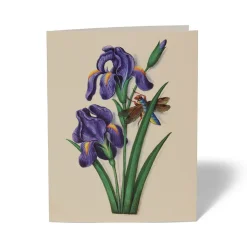 The Met Cloisters Garden Notecards