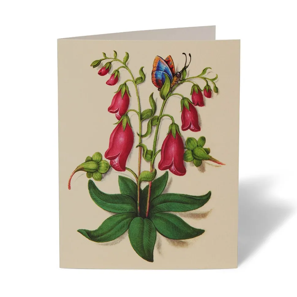 The Met Cloisters Garden Notecards
